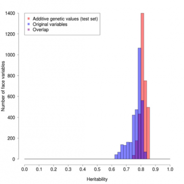 Figure1 figure1
