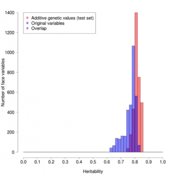 figure1